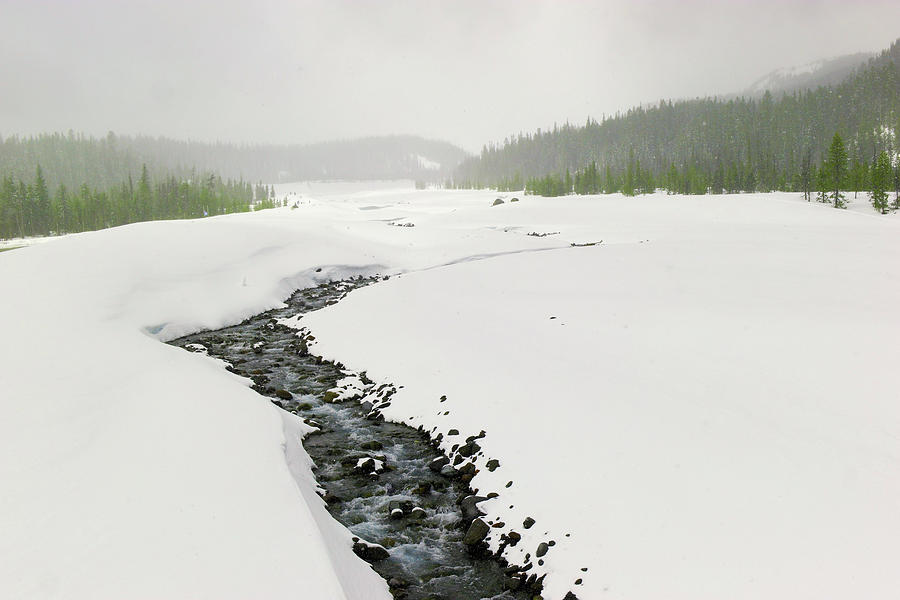 Snowfall On The River Photograph