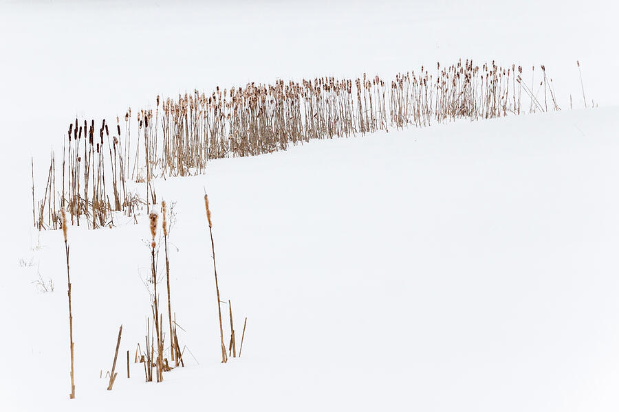 Snowfield 2 - Photograph by Julie Weber