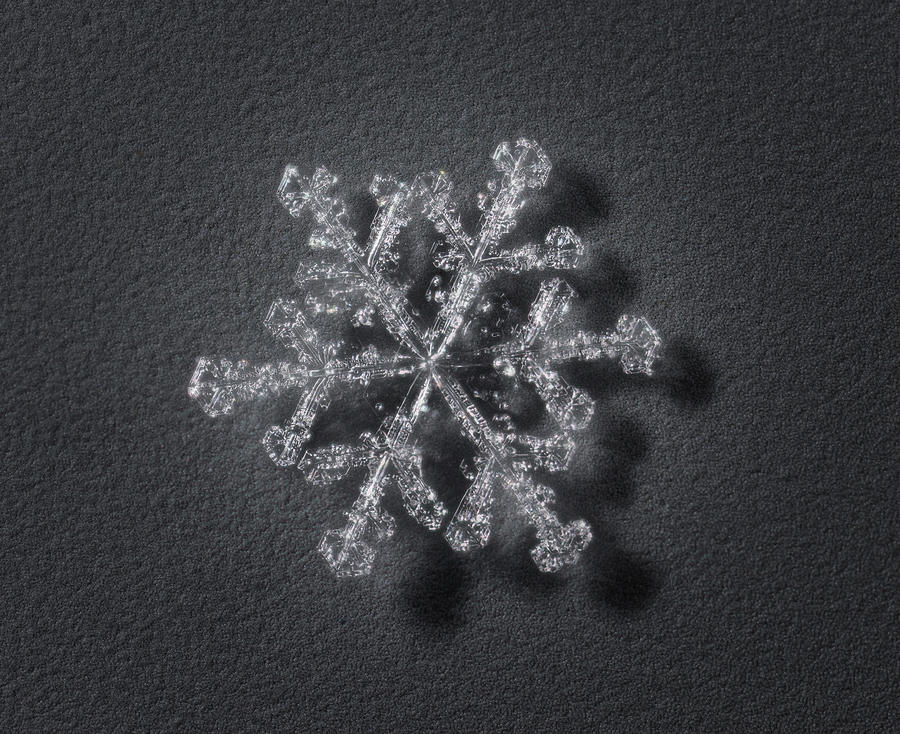 Winter Photograph - Snowflake 1 by Ed  Barels