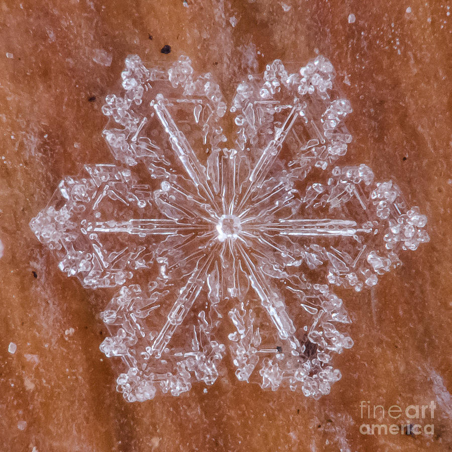 Mountain Photograph - Snowflake #17 by Doug Wewer