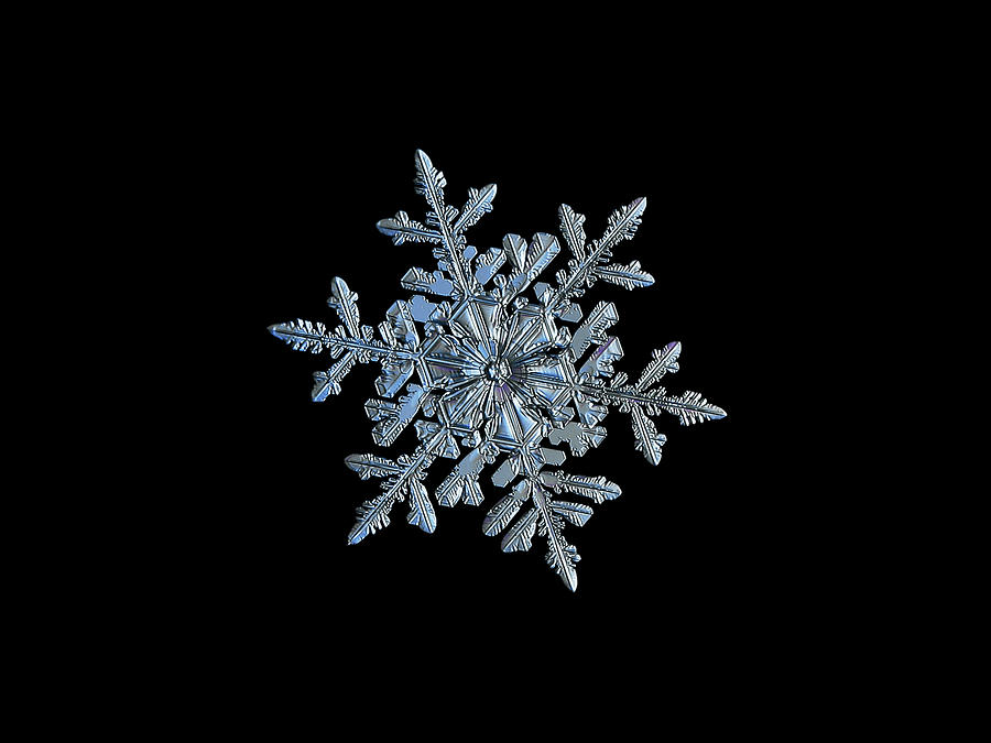 Snowflake 2018-02-21 n1 black Photograph by Alexey Kljatov