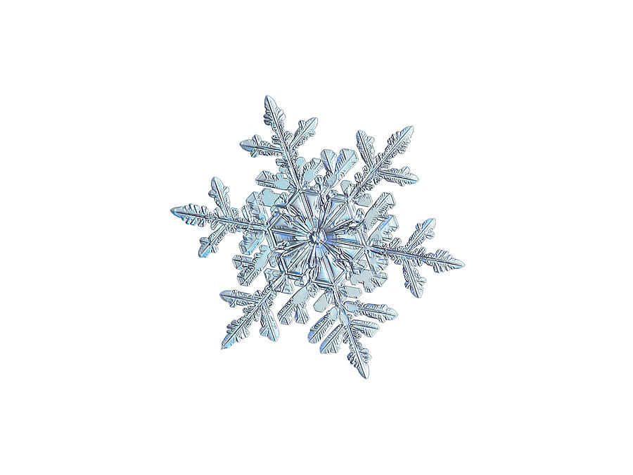 Snowflake 2018-02-21 n1 white Photograph by Alexey Kljatov