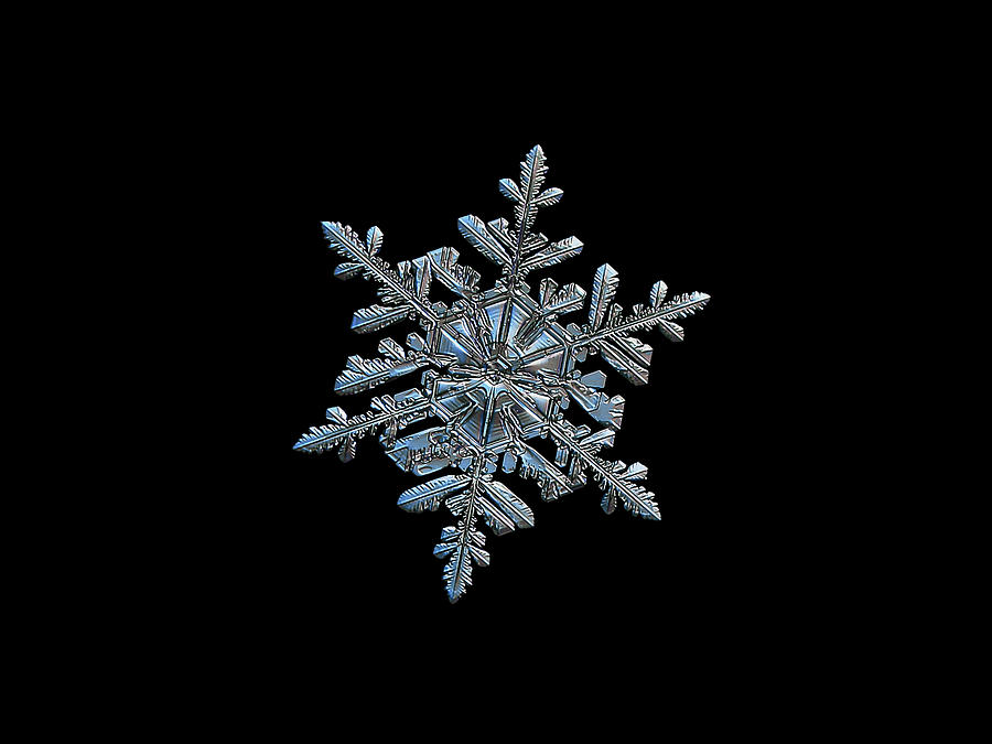 Snowflake 2018-02-21 n2 black Photograph by Alexey Kljatov