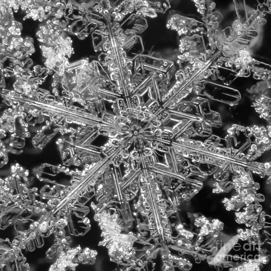 Mountain Photograph - Snowflake #21 by Doug Wewer