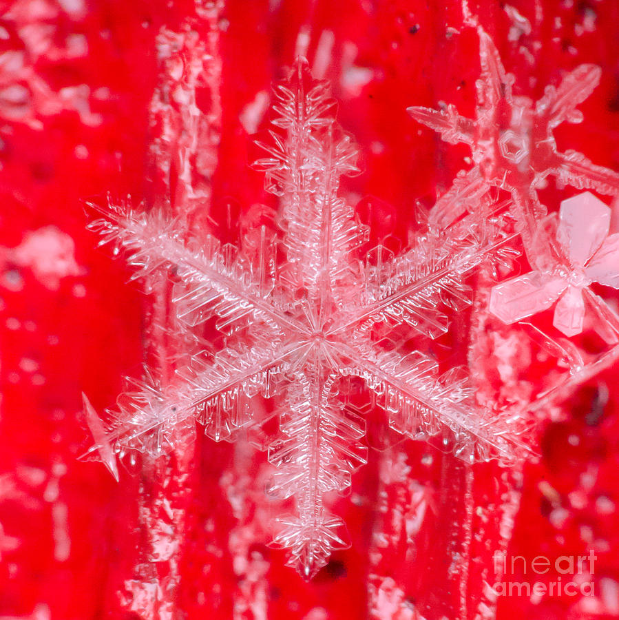 Mountain Photograph - Snowflake #25 by Doug Wewer