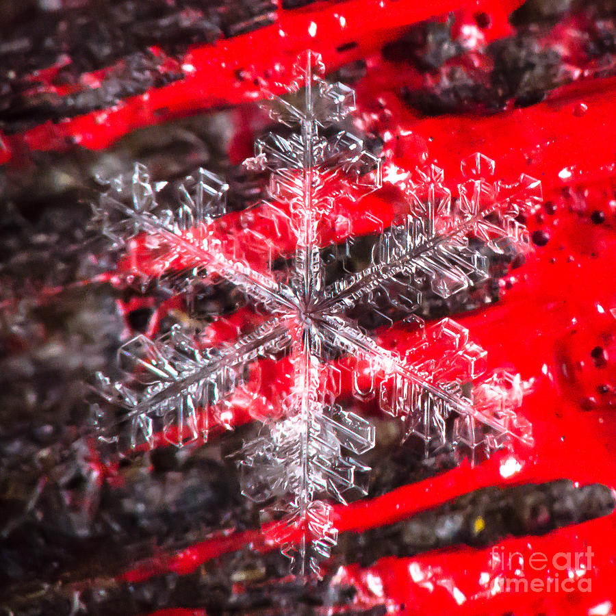 Mountain Photograph - Snowflake #28 by Doug Wewer