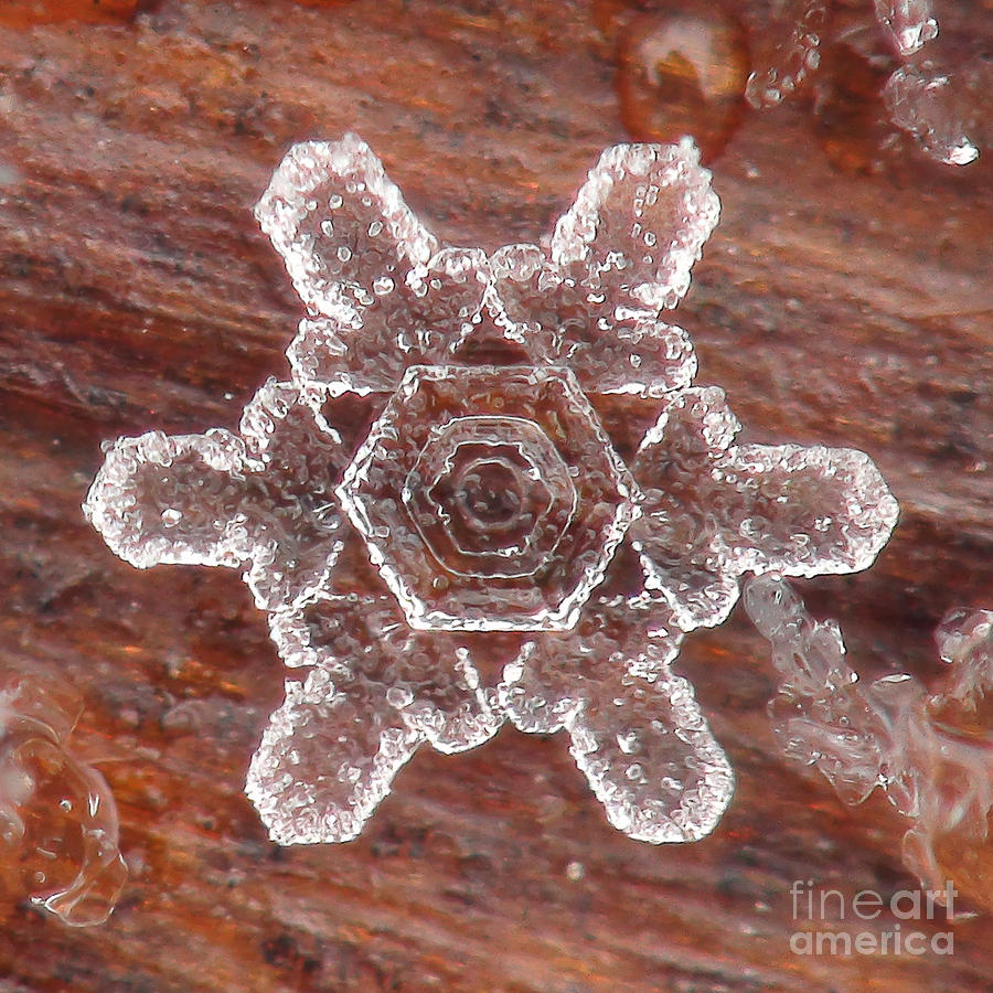 Mountain Photograph - Snowflake #3 by Doug Wewer