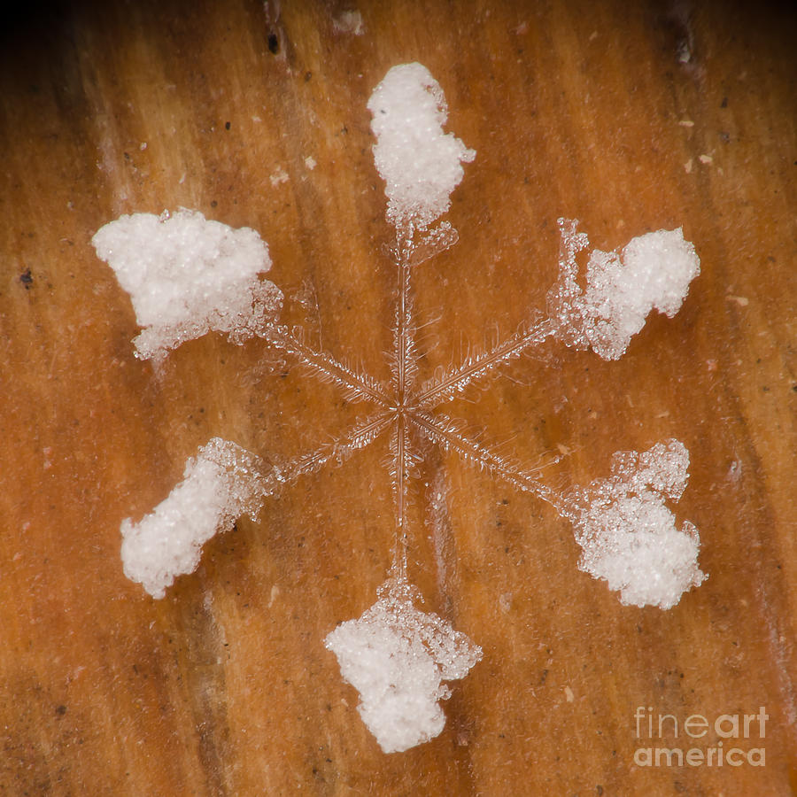 Mountain Photograph - Snowflake #32 by Doug Wewer