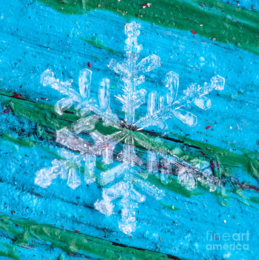 Mountain Photograph - Snowflake #34 by Doug Wewer