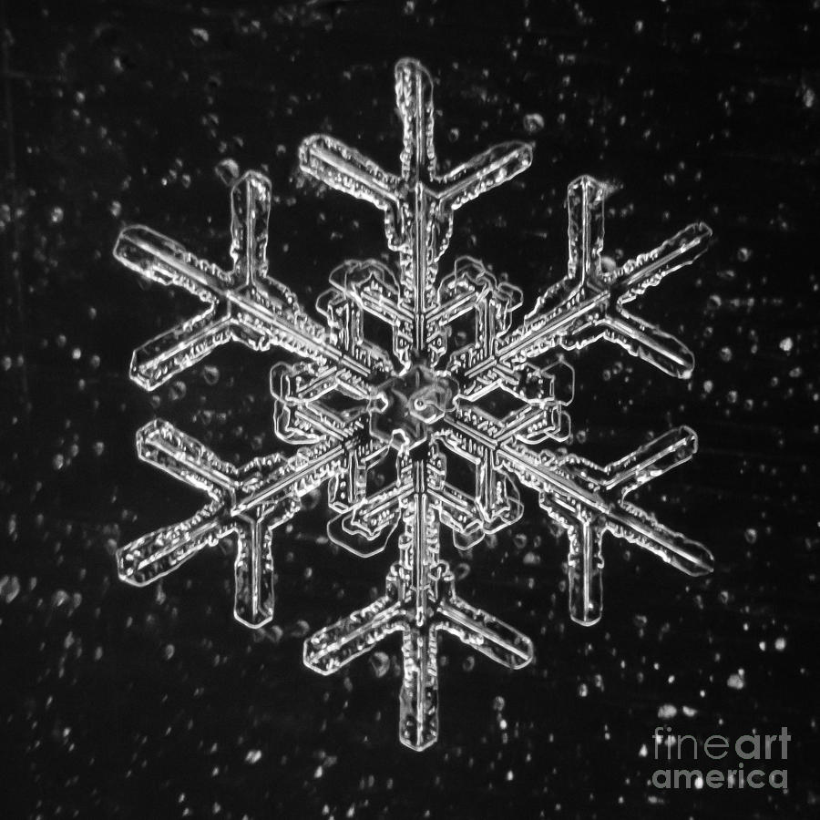 Mountain Photograph - Snowflake #6 by Doug Wewer