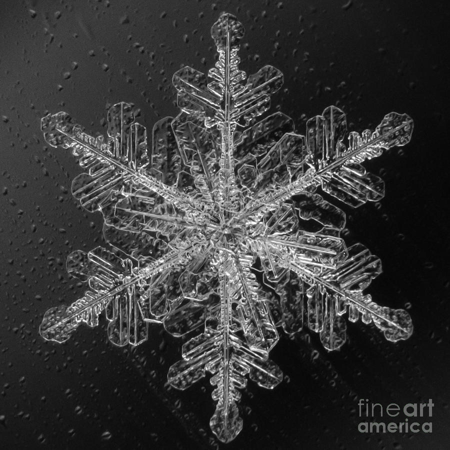 Mountain Photograph - Snowflake #8 by Doug Wewer