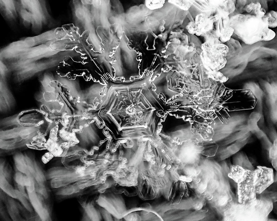 Snowflake abstract winter crystal macro Photograph by Toby McGuire