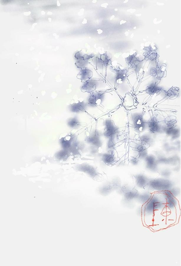 Snowflake and her shadow Digital Art by Debbi Saccomanno Chan