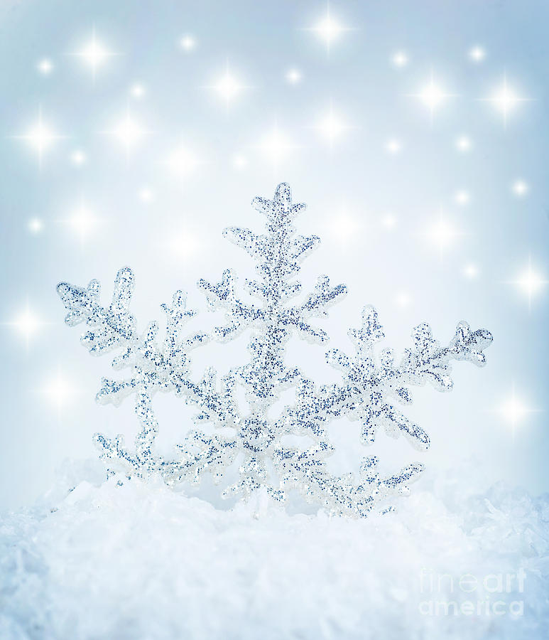 Snowflake background Photograph by Anna Om