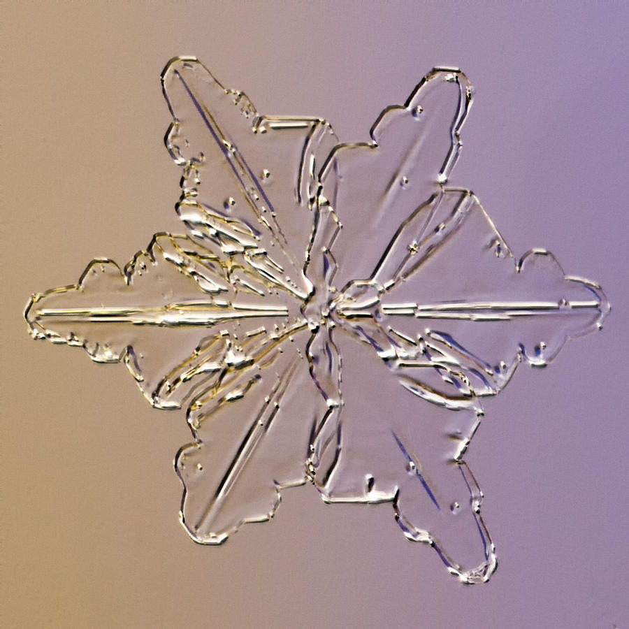 Unique Photograph - Snowflake Capella - 2009 by Paul Burwell