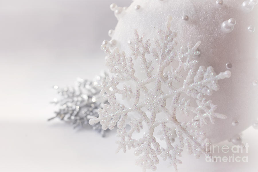 Snowflake Photograph by Cindy Garber Iverson