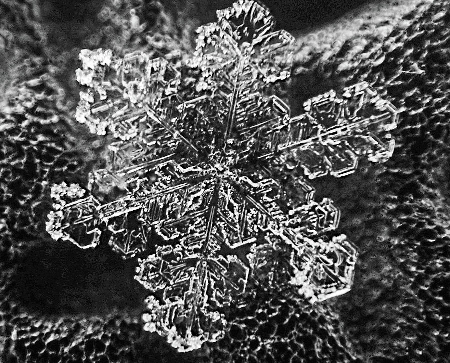Snowflake close-up Snow Winter Macro Photograph by Toby McGuire