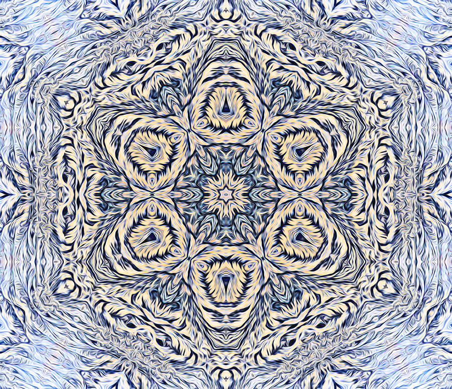 Snowflake design 3 Digital Art by Lilia S