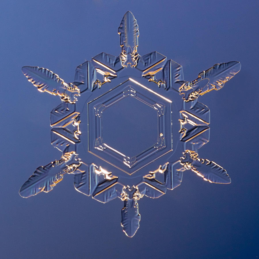Dendrites Photograph - Snowflake Doradus 2010 by Paul Burwell