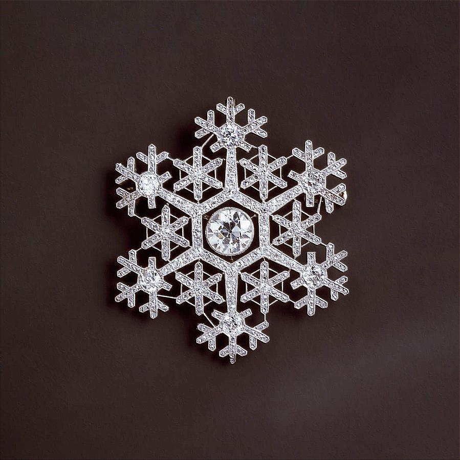 snowflake II Photograph by Dragica  Micki Fortuna