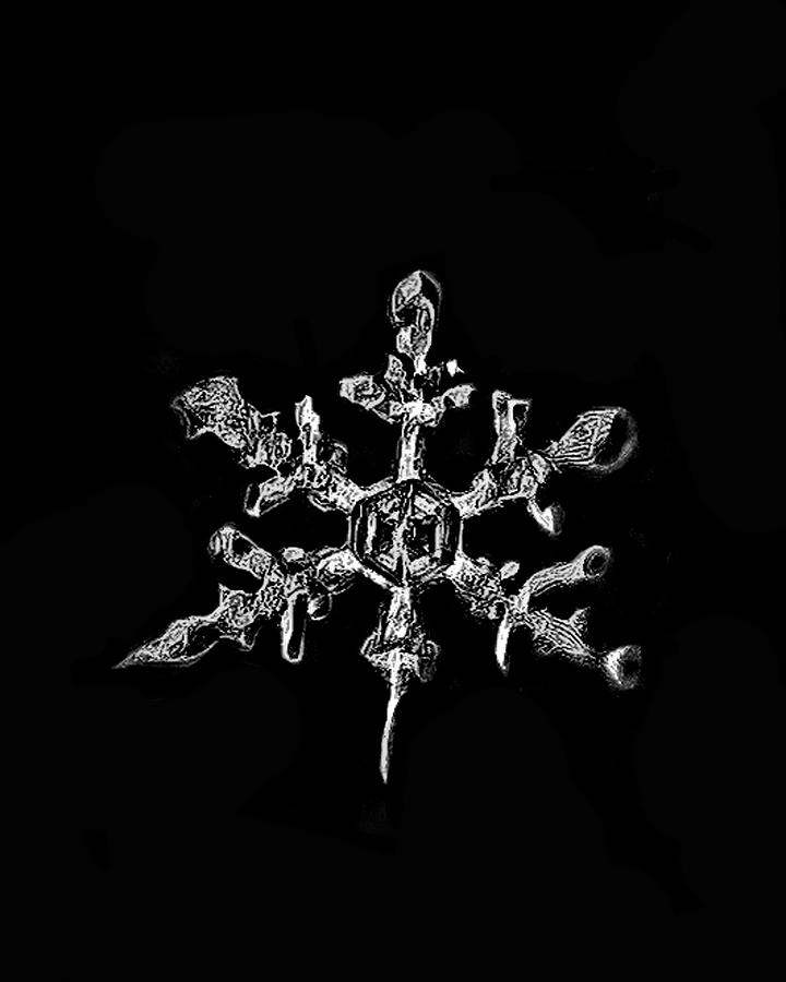 Snowflake Photograph by Joe Granita