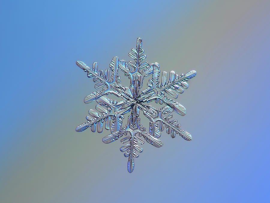 Snowflake macro photo - 13 February 2017 - 1 Photograph by Alexey Kljatov