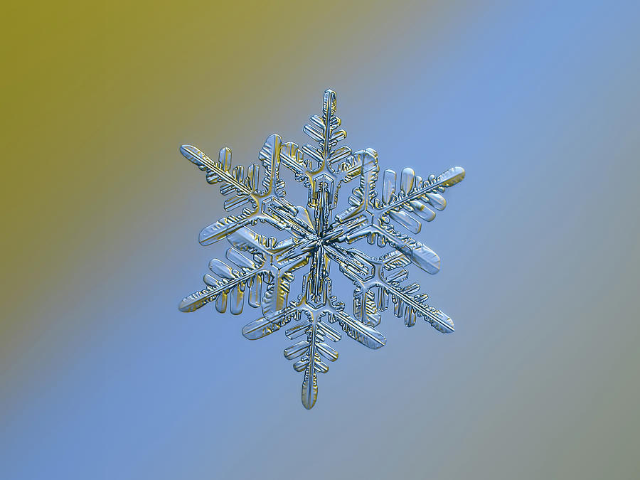 Snowflake macro photo - 13 February 2017 - 1 alt Photograph by Alexey Kljatov