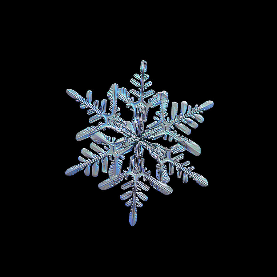 Snowflake macro photo - 13 February 2017 - 1 black Photograph by Alexey Kljatov