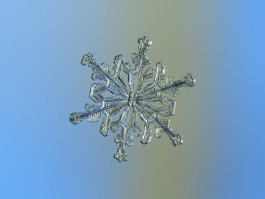 Winter Photograph - Snowflake macro photo - 13 February 2017 - 2 by Alexey Kljatov