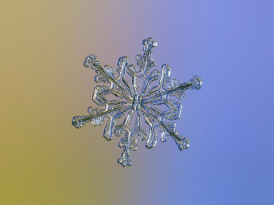 Snowflake macro photo - 13 February 2017 - 2 alt Photograph by Alexey Kljatov