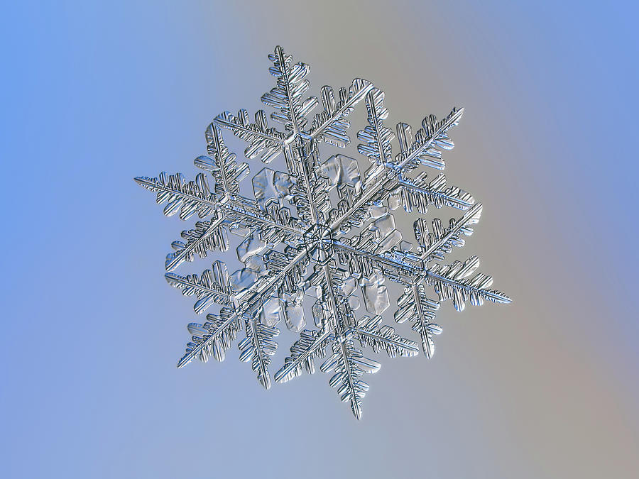 Snowflake macro photo - 13 February 2017 - 3 Photograph by Alexey Kljatov
