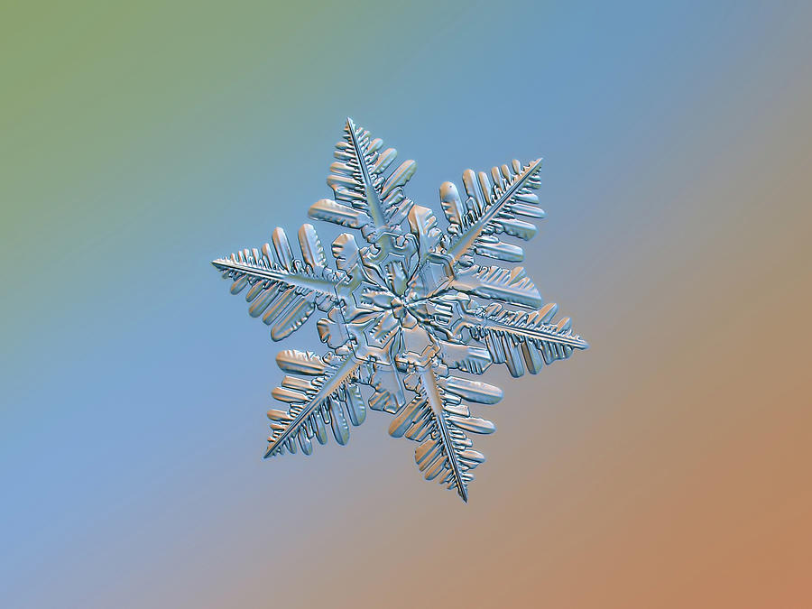 Snowflake macro photo - 13 February 2017 - 5 Photograph by Alexey Kljatov