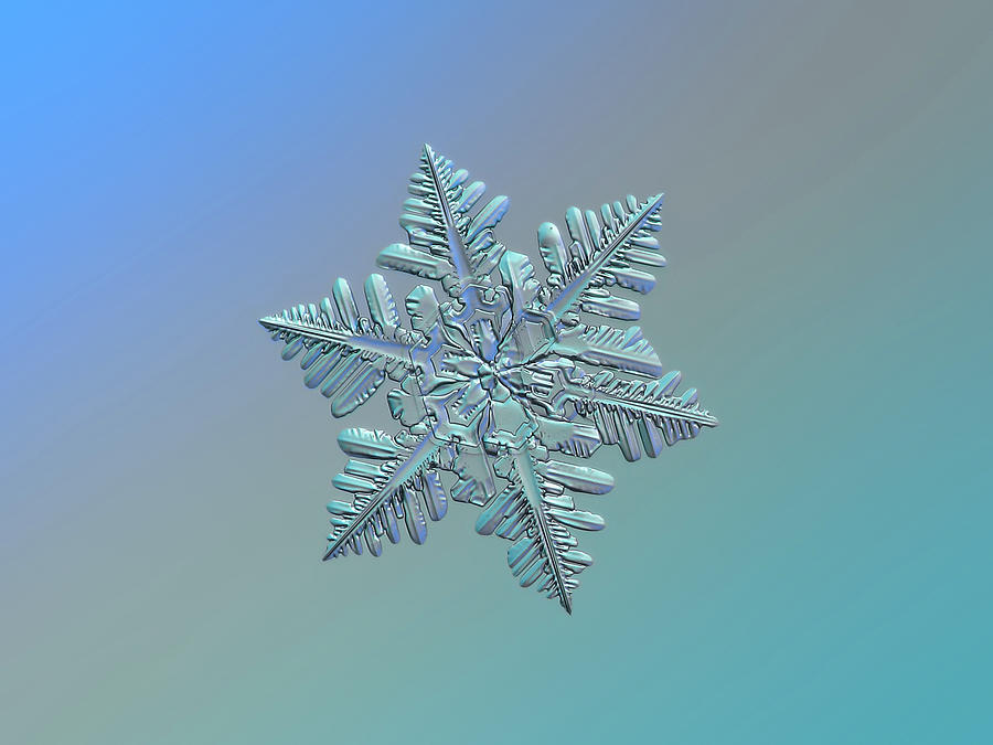 Snowflake macro photo - 13 February 2017 - 5 alt Photograph by Alexey Kljatov