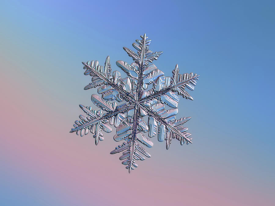 Snowflake macro photo - 13 February 2017 - 6 Photograph by Alexey Kljatov