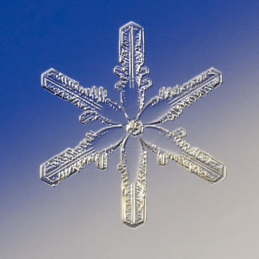 Unique Photograph - Snowflake Nashira - 2009 by Paul Burwell