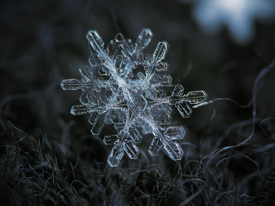Snowflake of January 18 2013 Photograph by Alexey Kljatov