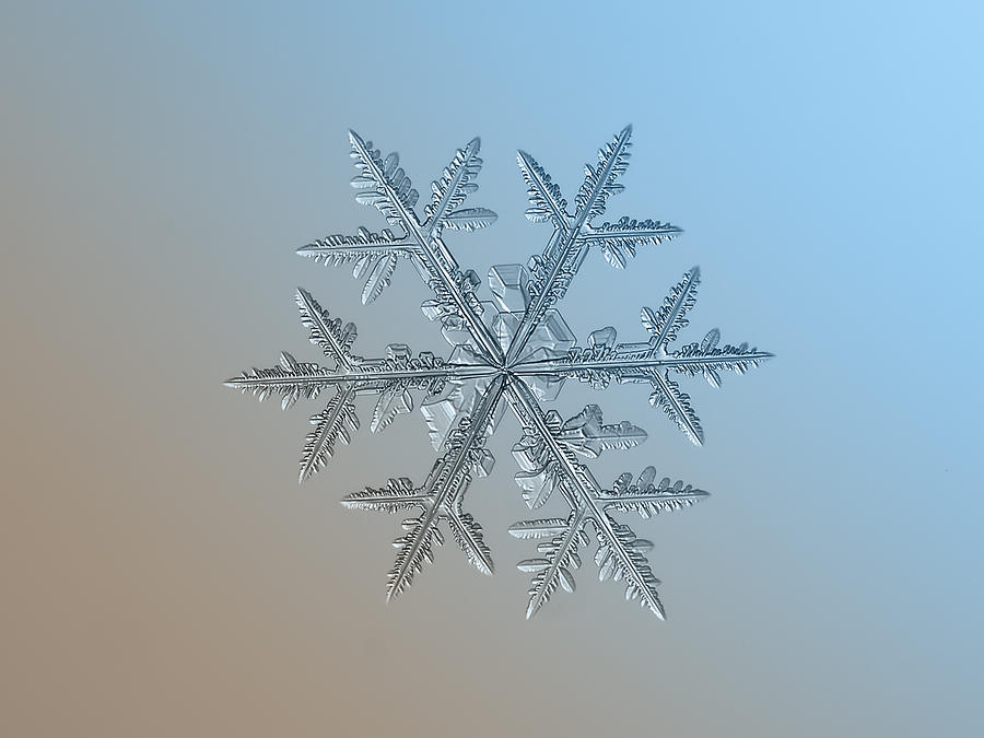 Snowflake photo - Asymmetriad Photograph by Alexey Kljatov