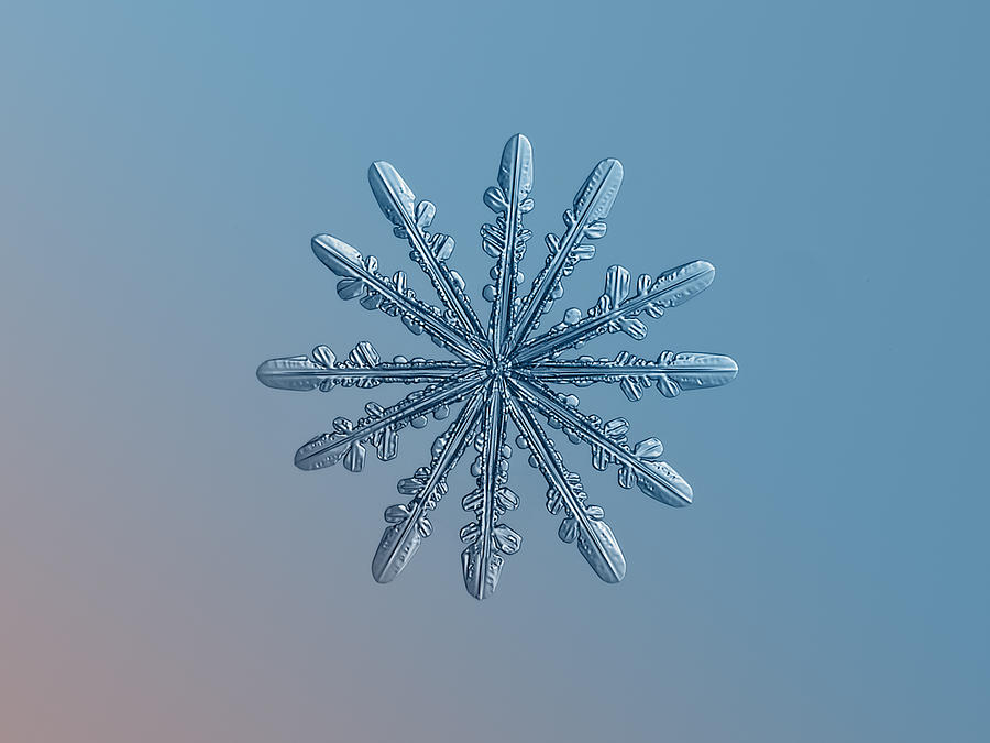 Snowflake photo - Chrome Photograph by Alexey Kljatov