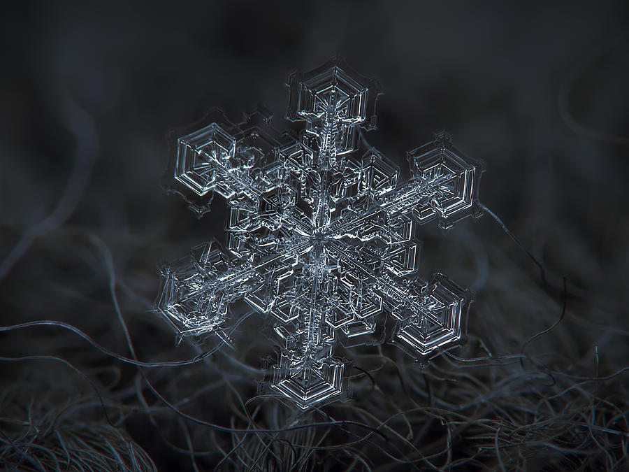 Snowflake photo - Complicated thing Photograph by Alexey Kljatov