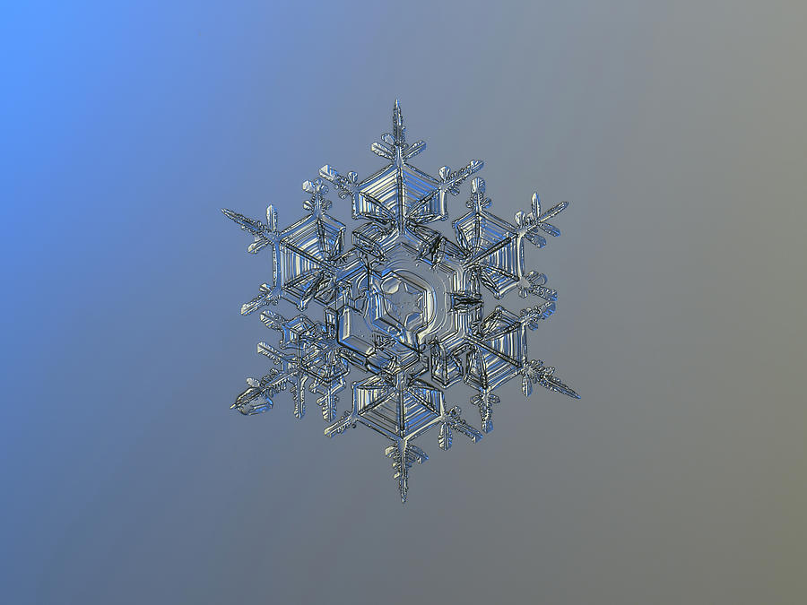 Snowflake photo - Crystal of chaos and order Photograph by Alexey Kljatov
