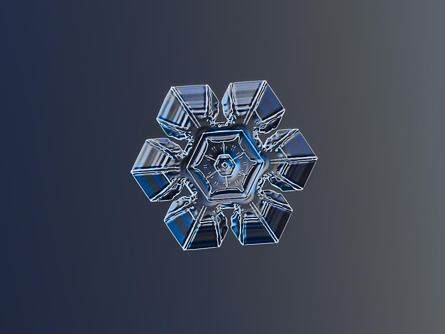 Snowflake photo - Crystal of darkness Photograph by Alexey Kljatov