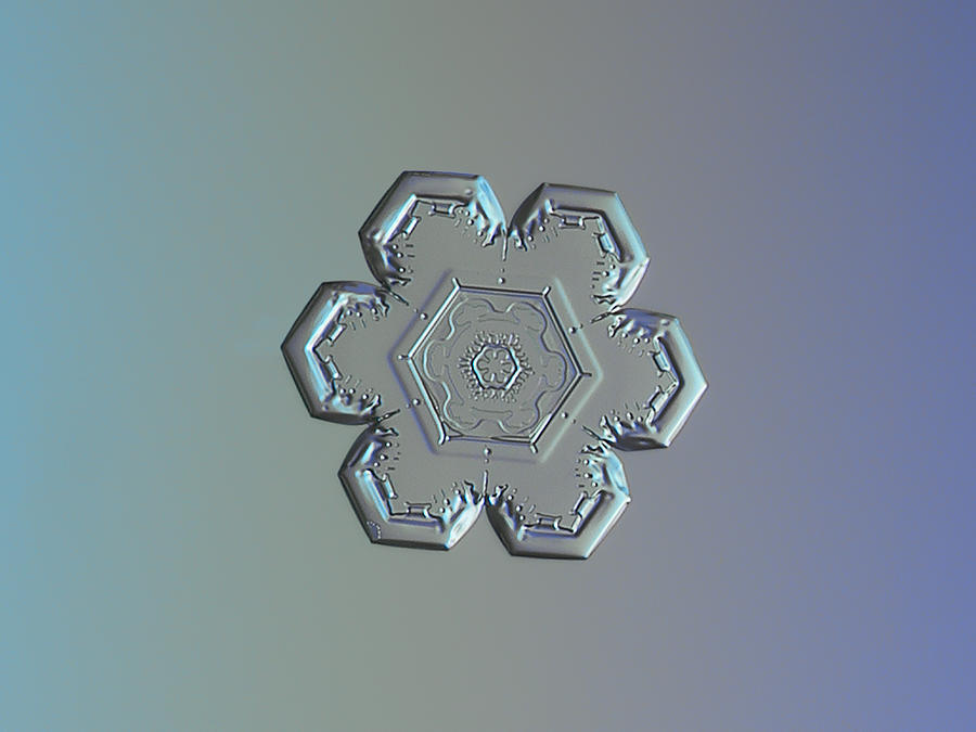 Snowflake photo - Flower within a flower Photograph by Alexey Kljatov