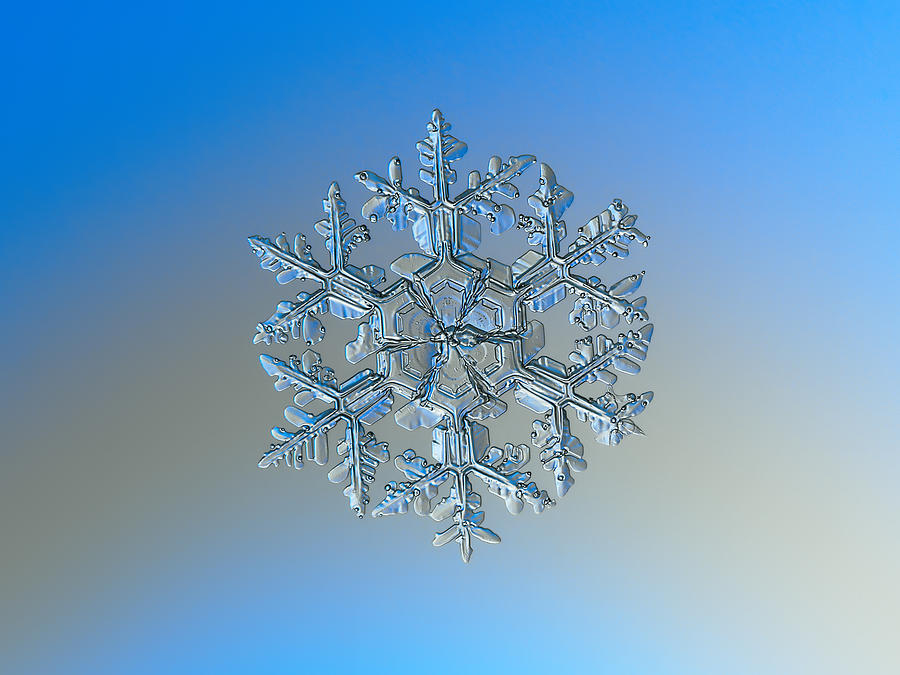 Winter Photograph - Snowflake photo - Gardeners dream by Alexey Kljatov