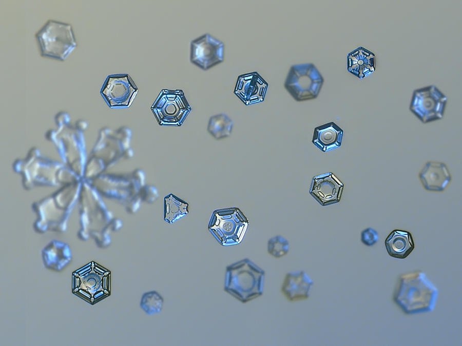 Snowflake photo - Ice dust II Photograph by Alexey Kljatov