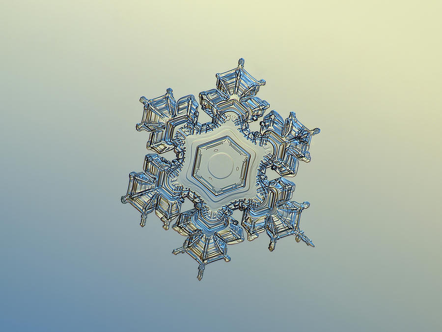 Winter Photograph - Snowflake photo - Iron crown by Alexey Kljatov