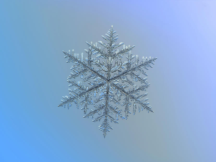 Winter Photograph - Snowflake photo - Majestic crystal by Alexey Kljatov
