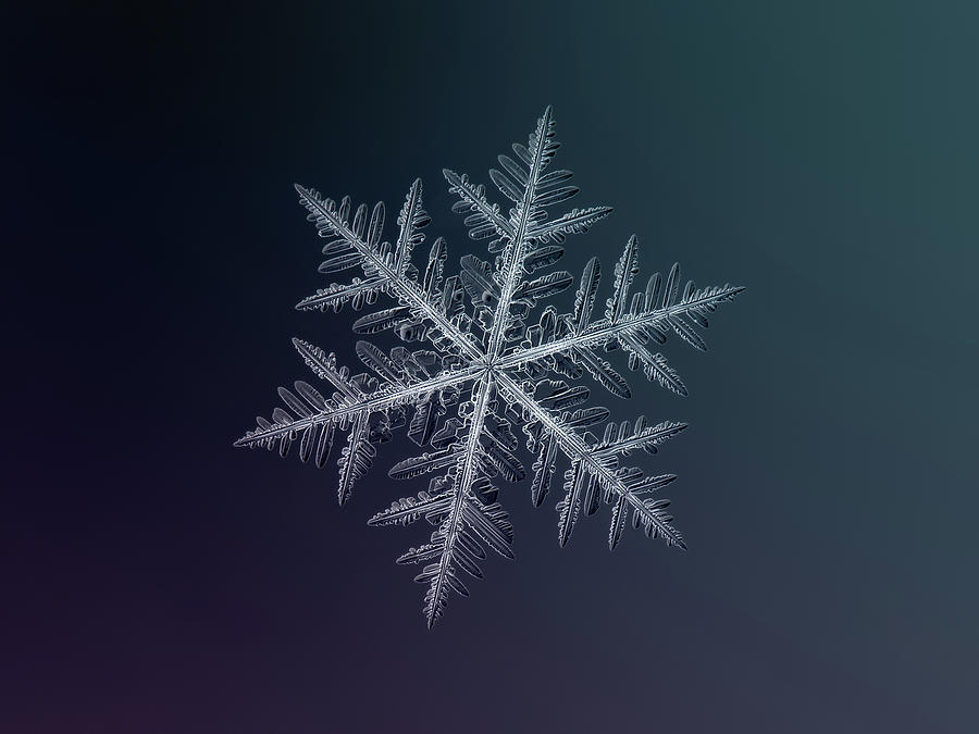 Snowflake photo - Neon Photograph by Alexey Kljatov