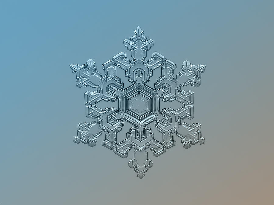 Winter Photograph - Snowflake photo - Ornate pattern by Alexey Kljatov