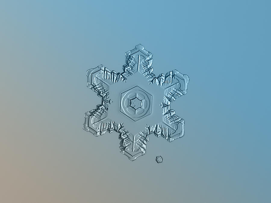Snowflake photo - Relief Photograph by Alexey Kljatov