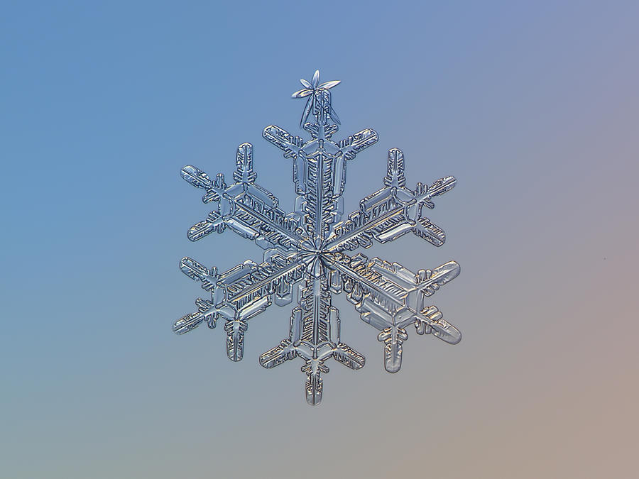 Winter Photograph - Snowflake photo - Silver plume by Alexey Kljatov